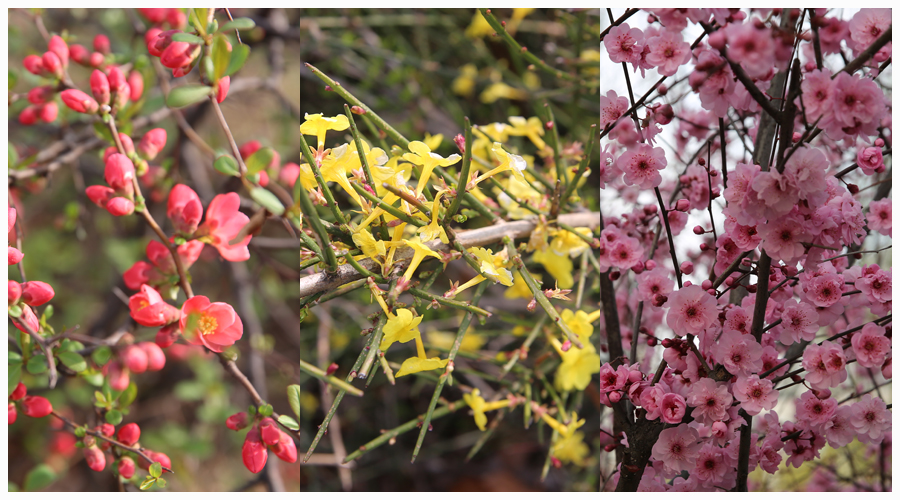 太阳成集团tyc122cc举办2021“拥抱春天，环湖健步走”活动