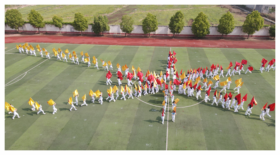 公司成功举办第九届运动会