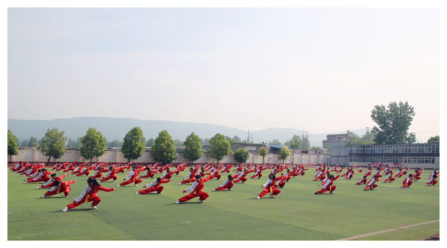公司成功举办第九届运动会