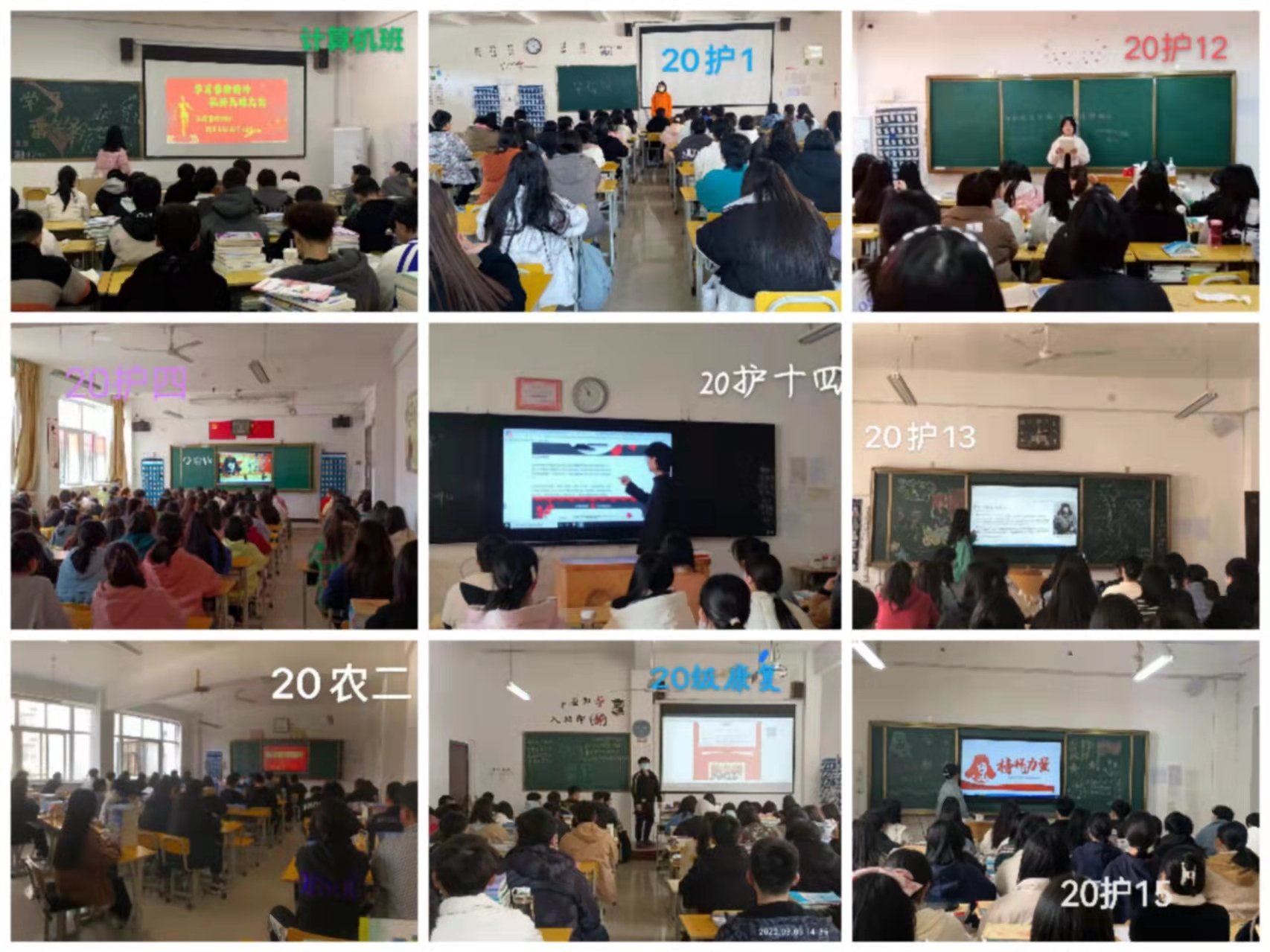 太阳成集团tyc122cc开展“学雷锋”活动