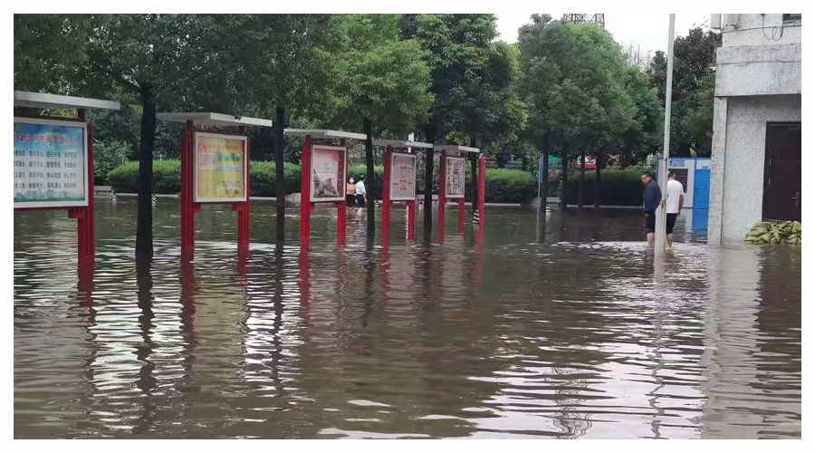 齐心协力排涝排险 全力保障校园安全