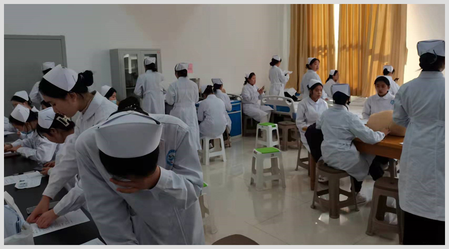 公司成功举行教育部“1+X”母婴护理职业技能等级证书考试