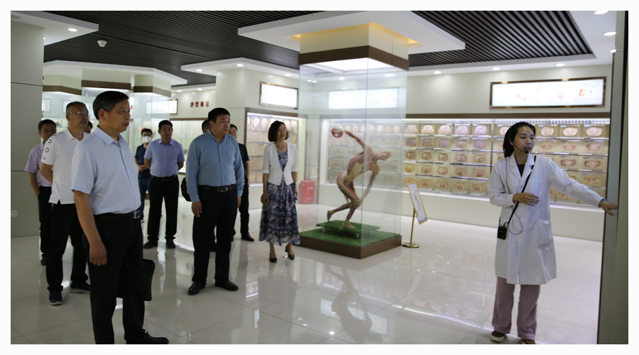 河南省中等职业公司标准化建设工程验收专家组莅临公司检查验收