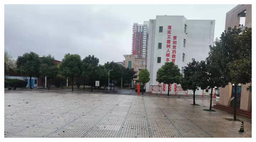 齐心协力排涝排险 全力保障校园安全