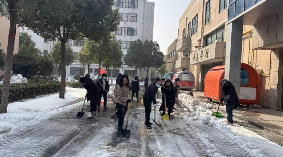 集团后勤党支部组织开展主题党日活动 集团后勤党支部组织开展主题党日活动