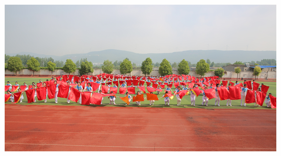 公司成功举办第九届运动会