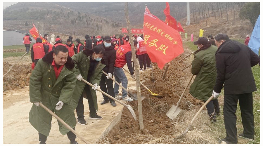 公司参加新年义务植树活动