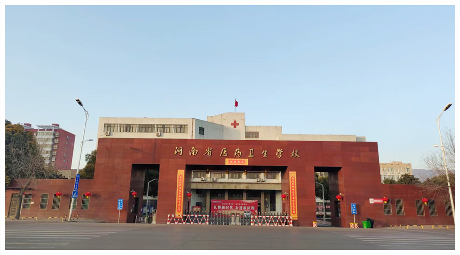 太阳成集团tyc122cc开展“挂灯笼 贴春联 欢欢喜喜过新年”活动