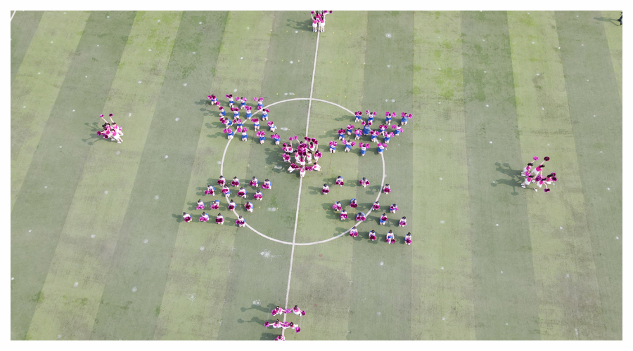 公司成功举办第九届运动会