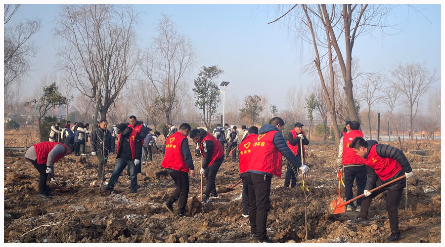 公司参加冬季义务植树活动 公司参加冬季义务植树活动