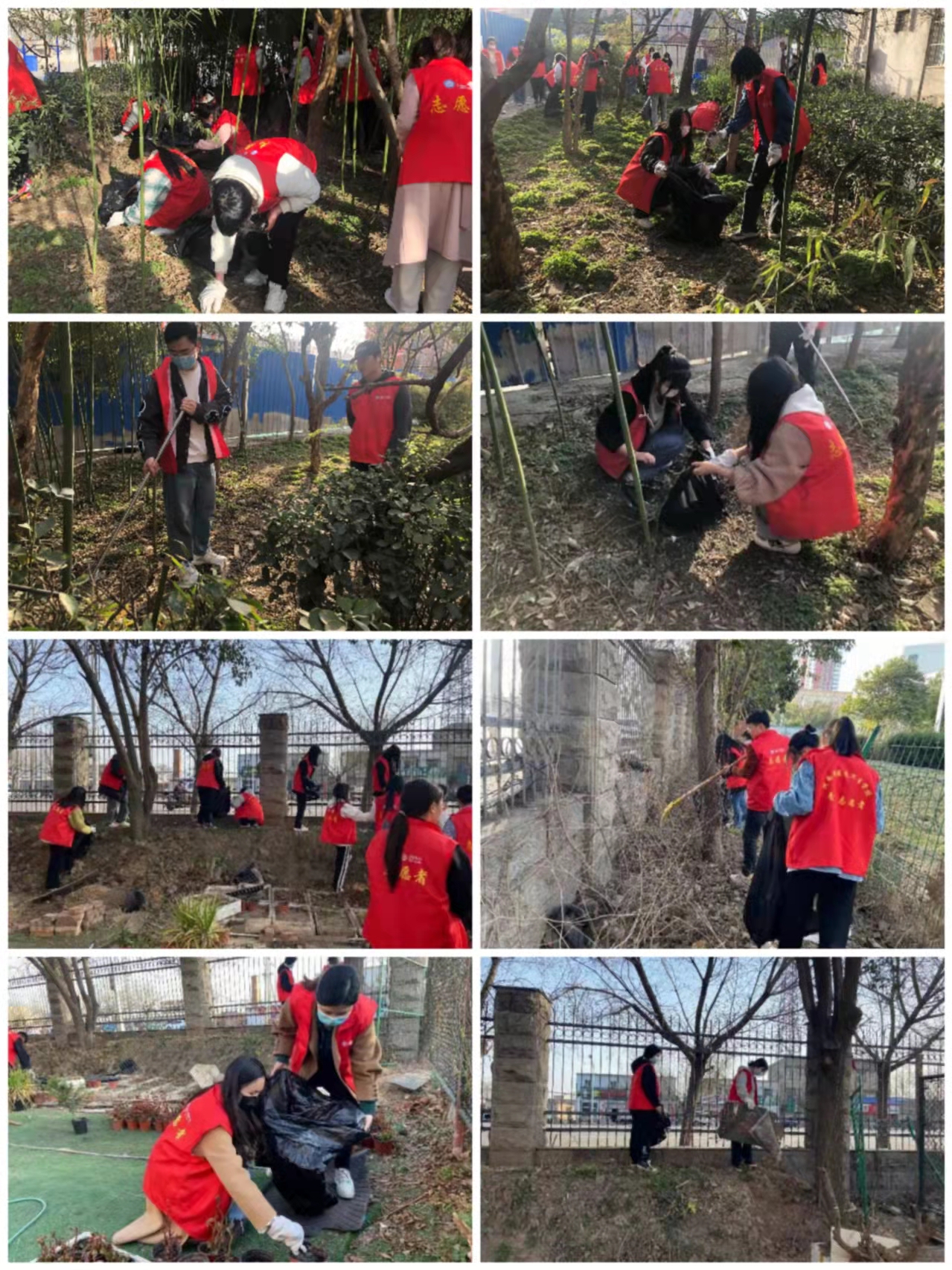 太阳成集团tyc122cc开展“学雷锋”活动