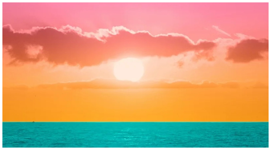 公司实施校园全封闭管理