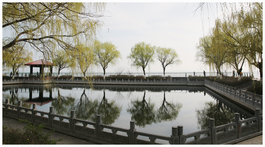 太阳成集团tyc122cc举办2021“拥抱春天，环湖健步走”活动