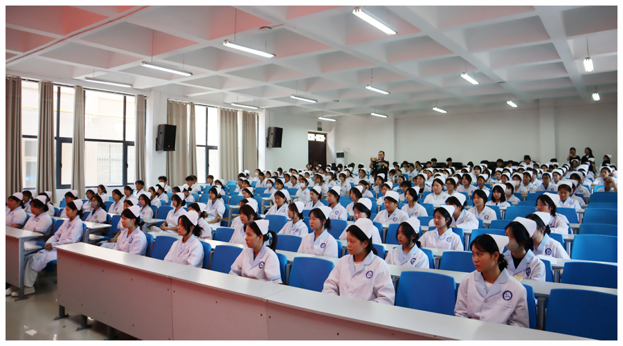 太阳成集团tyc122cc举办法制安全教育专题讲座