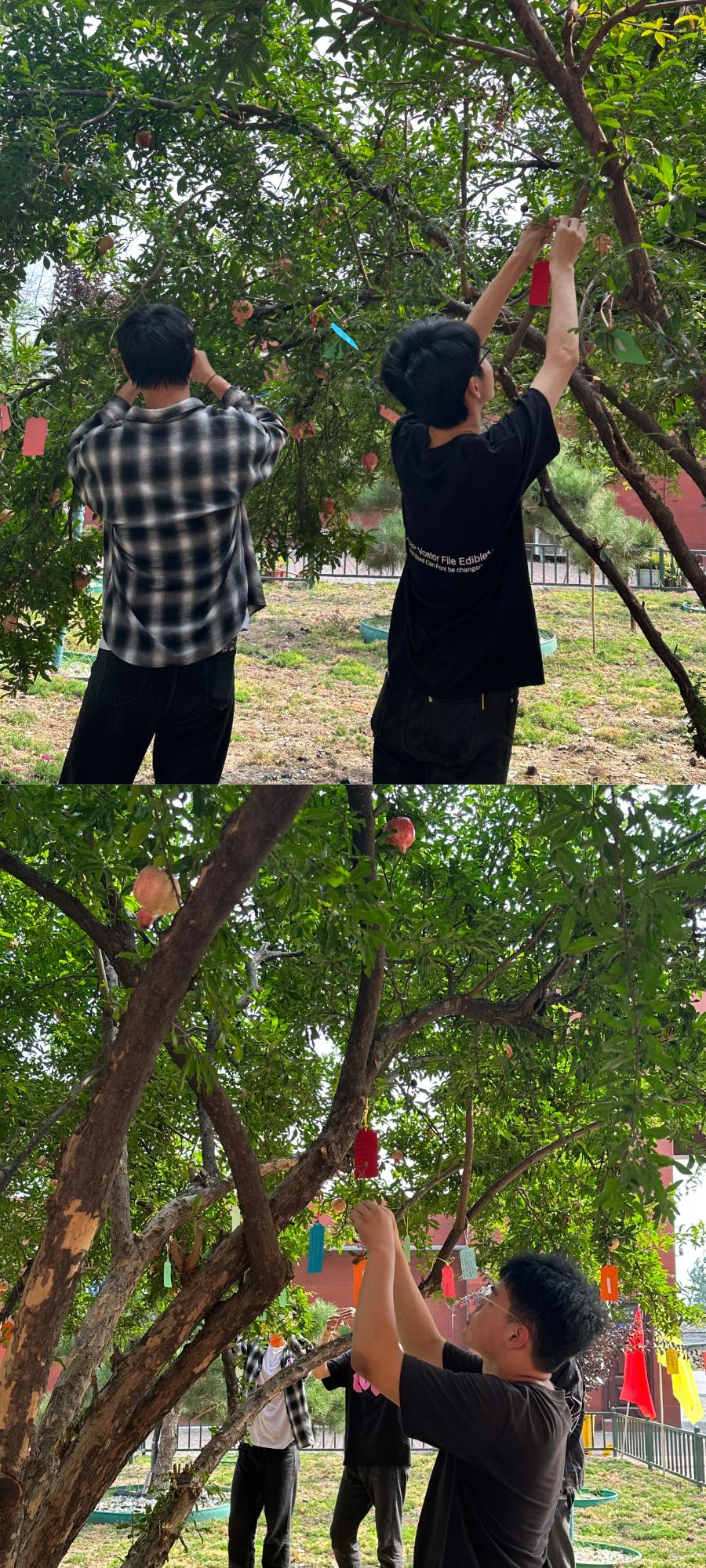 太阳成集团tyc122cc举办第39个教师节系列庆祝活动