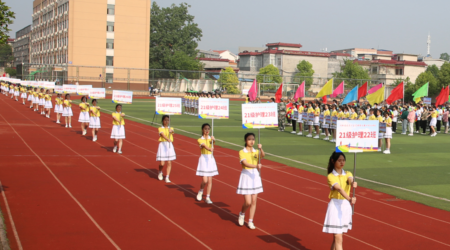 公司成功举办第九届运动会