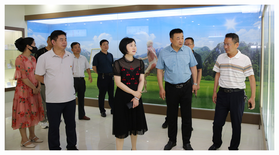 平顶山市卫东区区委副书记李涛一行到公司调研指导