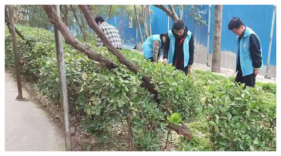 崇尚劳动 美化校园