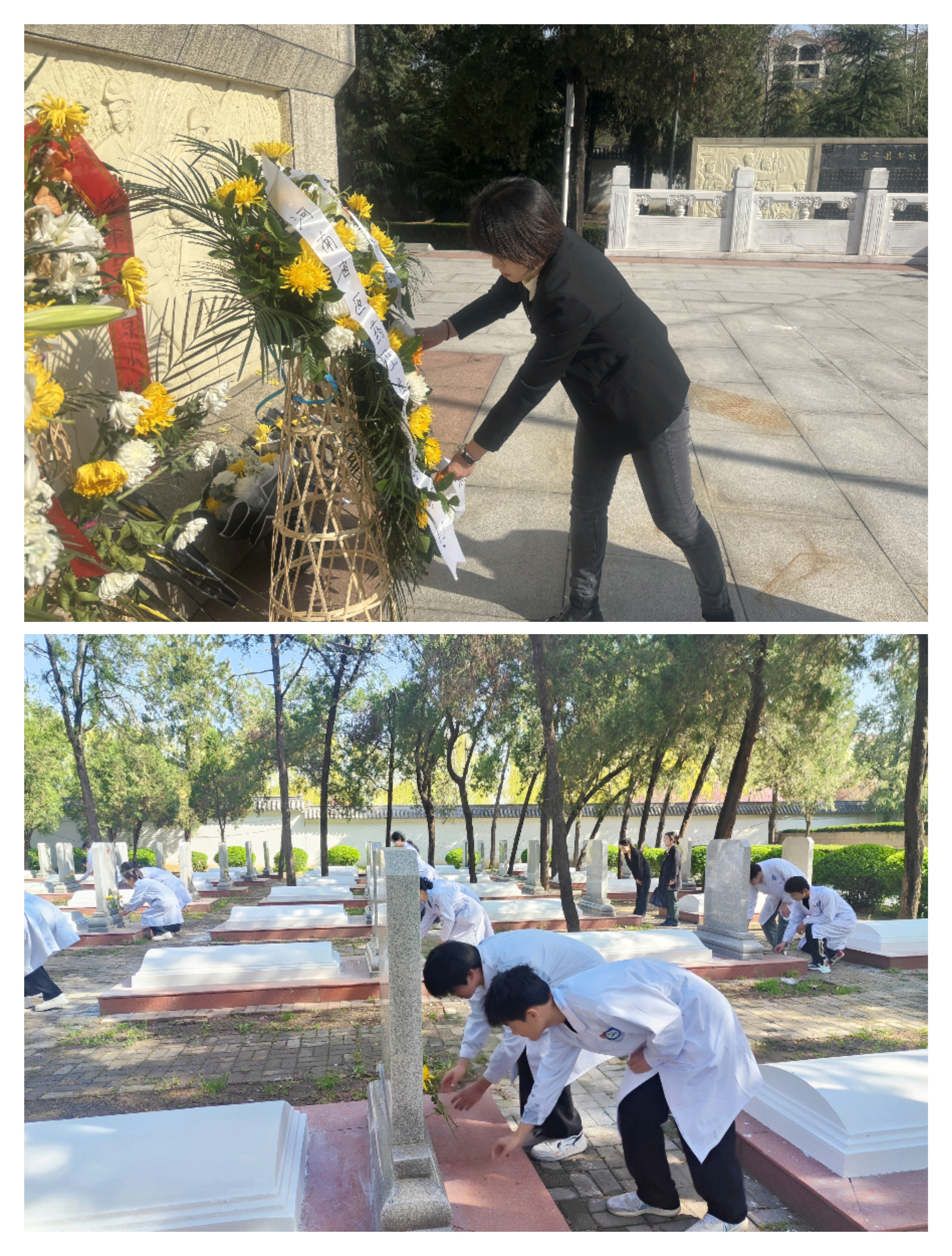 太阳成集团tyc122cc开展2024年清明节主题团日活动