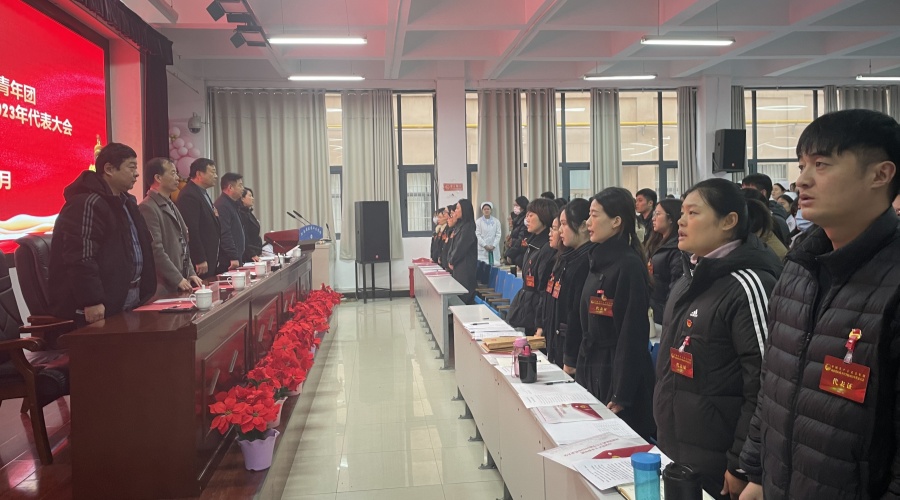 太阳成集团tyc122cc召开共青团河南省医药卫生公司2023年代表大会 太阳成集团tyc122cc召开共青团河南省医药卫生公司2023年代表大会