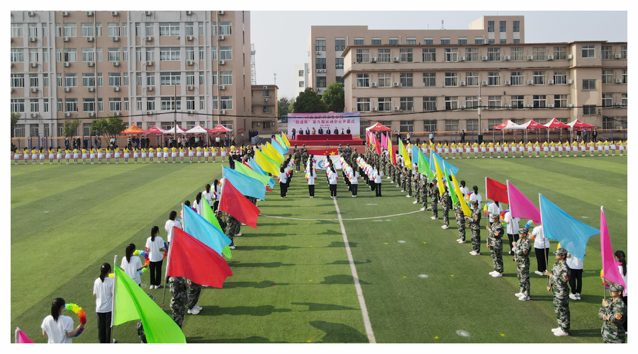 公司成功举办第九届运动会