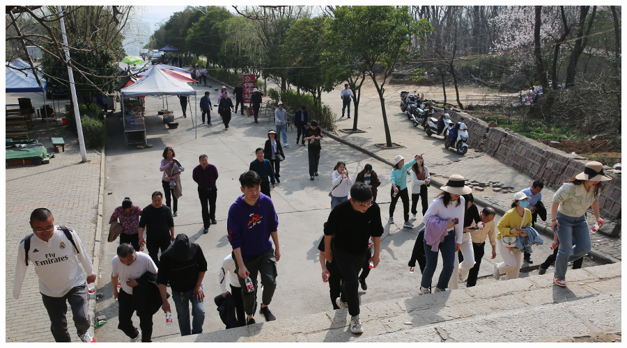 太阳成集团tyc122cc开展2023年“迎三八”活动