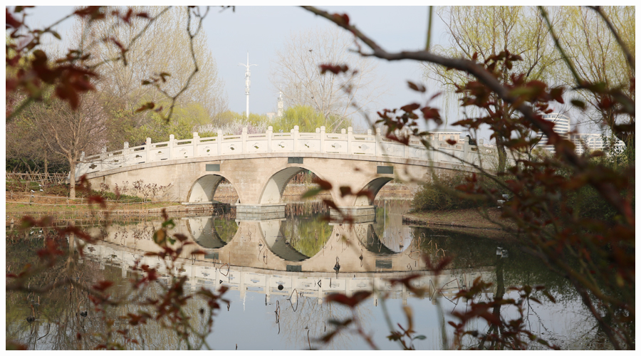 太阳成集团tyc122cc举办2021“拥抱春天，环湖健步走”活动