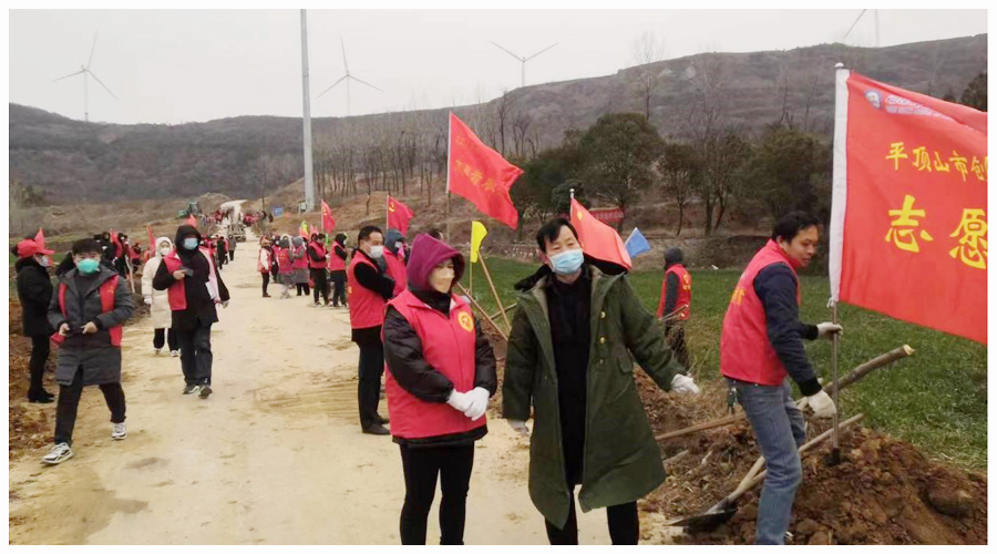 公司参加新年义务植树活动