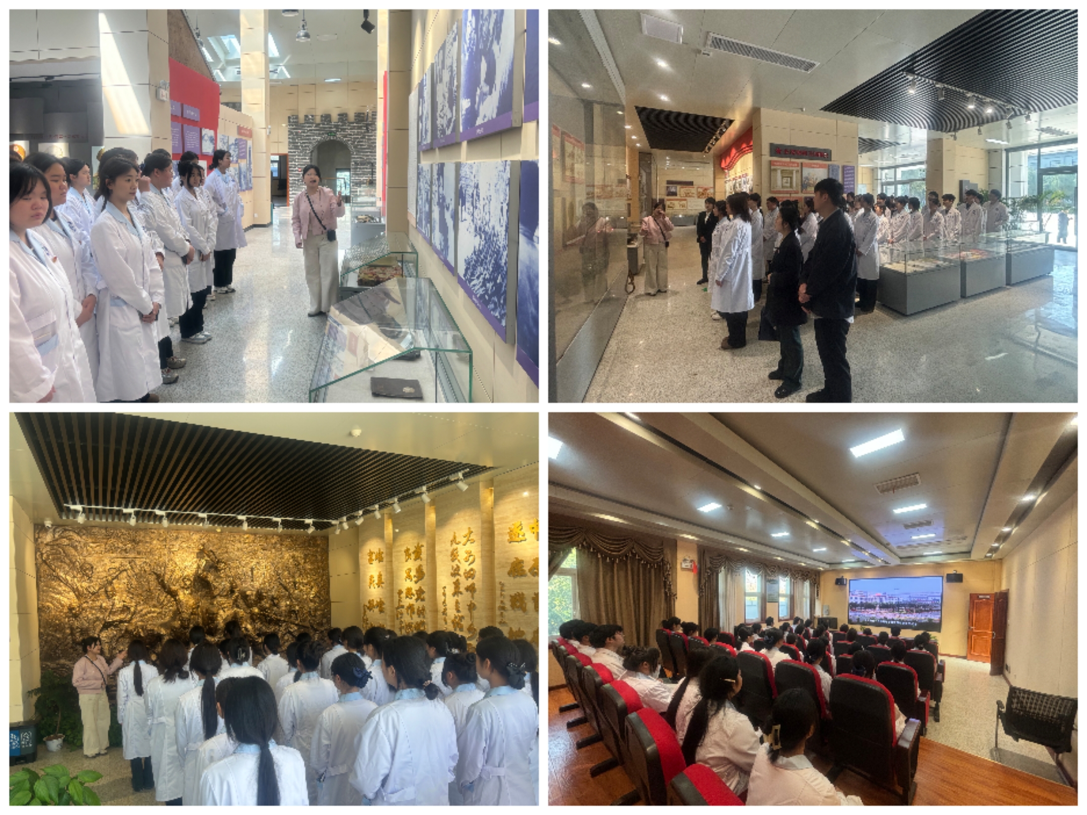 太阳成集团tyc122cc开展2024年清明节主题团日活动